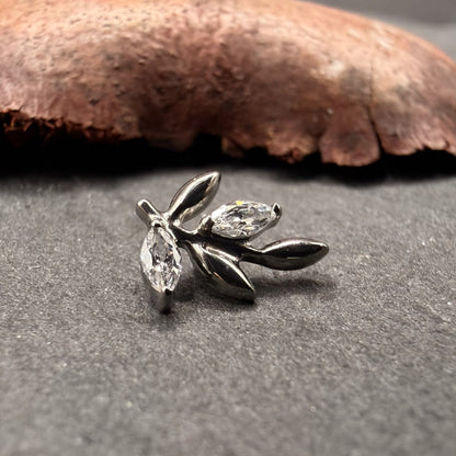 Folha Oliveira com Zircónia