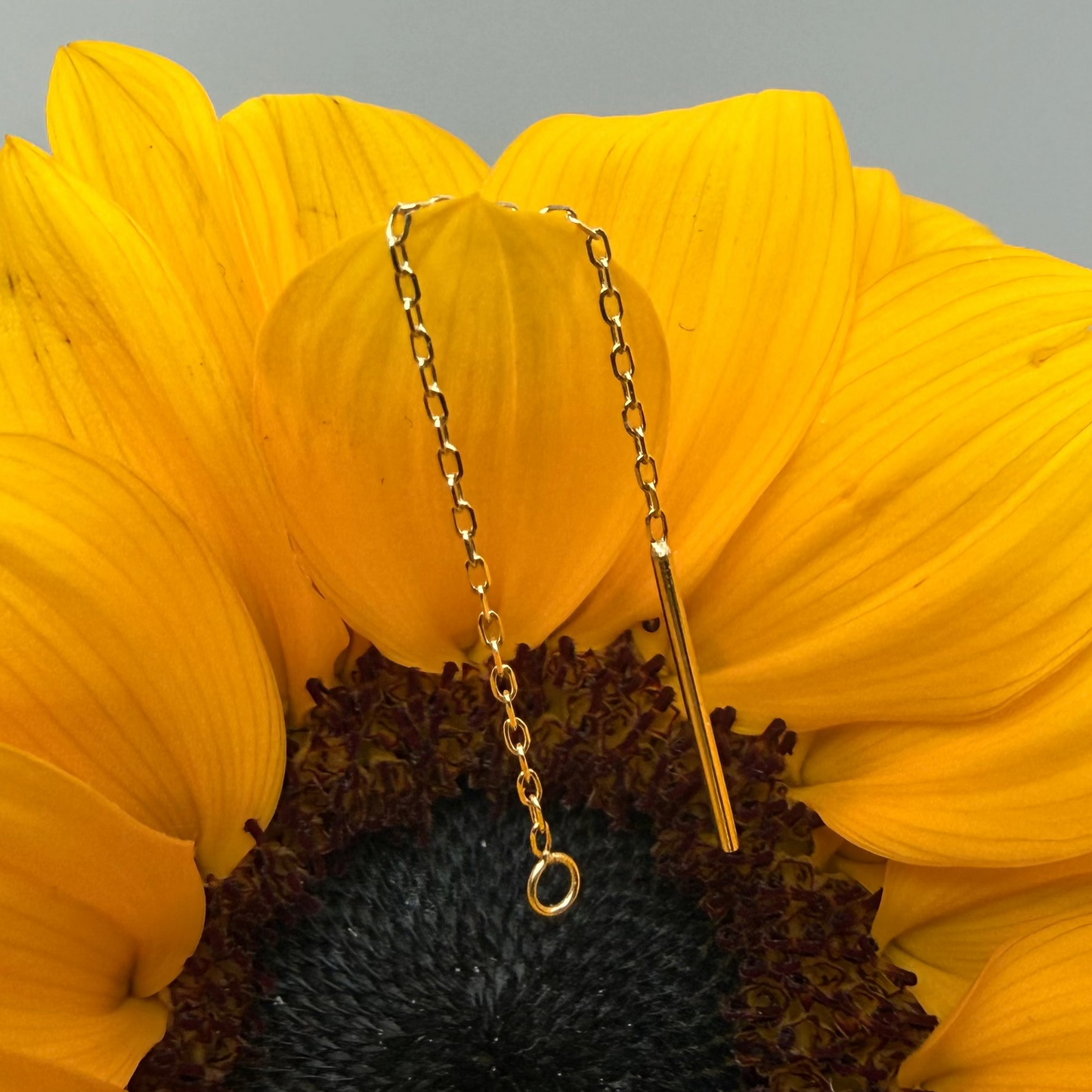 Corrente com aro ouro 14k 