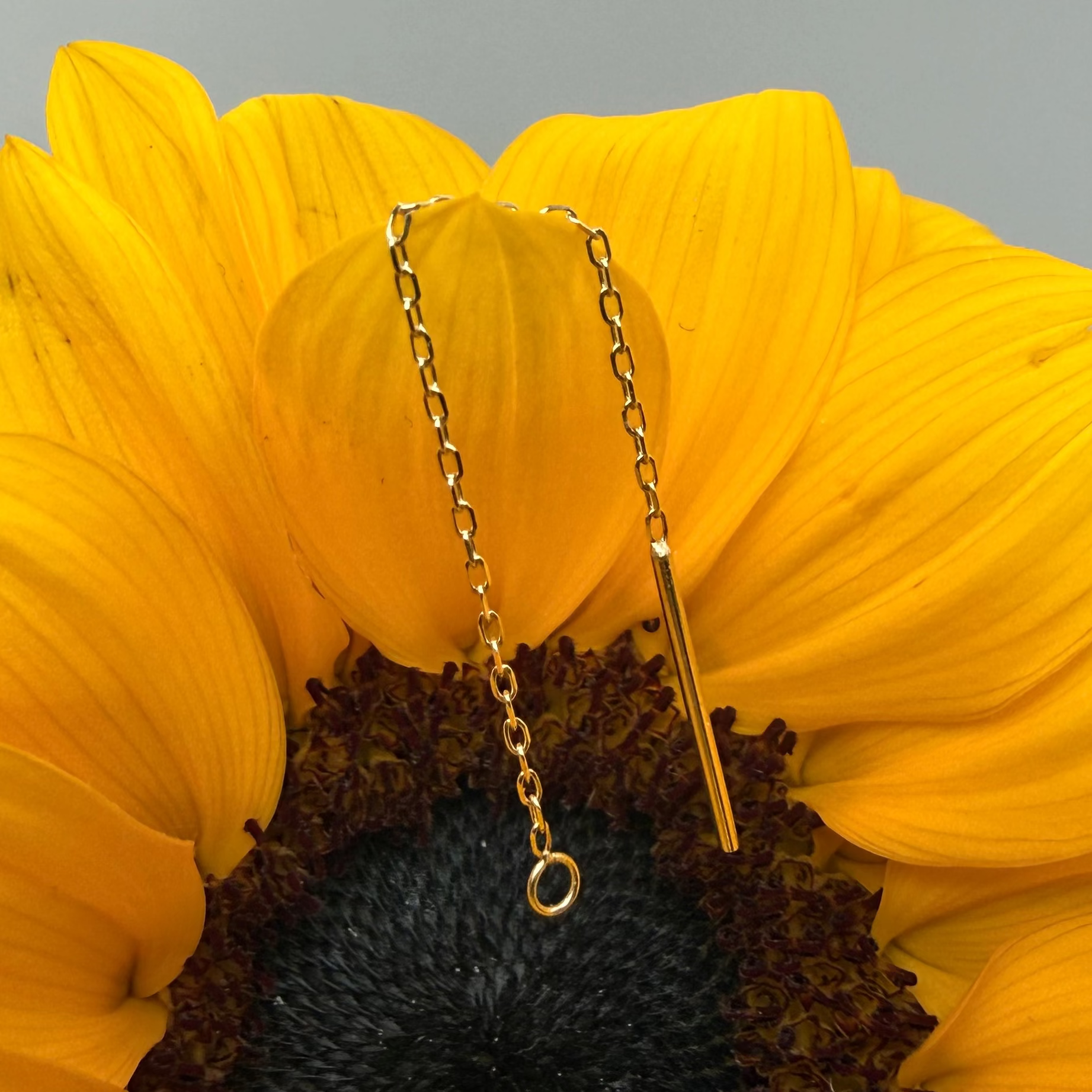 Corrente com aro ouro 14k 